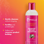 Babassu & Mint Damage Repair Shampoo